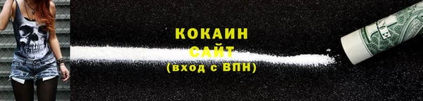 прущие грибы Карталы