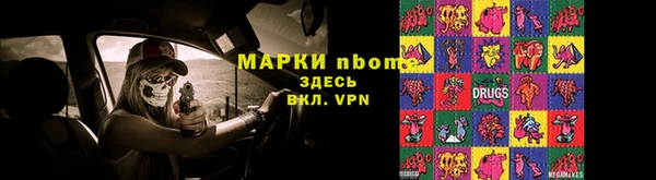 прущие грибы Касимов