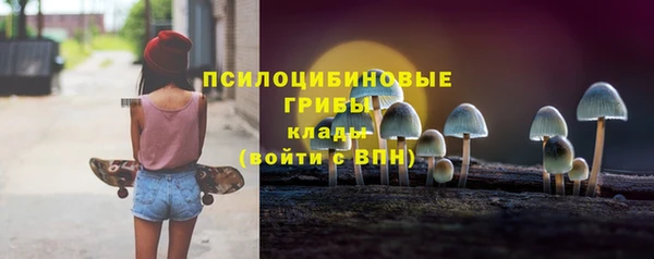 прущие грибы Карталы