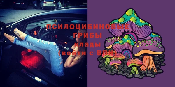 прущие грибы Касимов