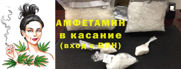 прущие грибы Карталы