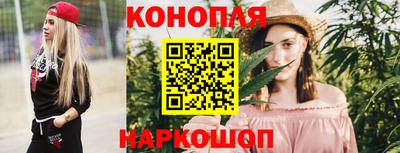 гидропоника Гусь-Хрустальный