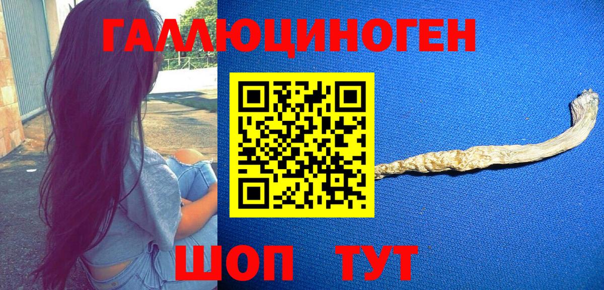 Псилоцибиновые грибы прущие грибы  Вход с VPN  Элиста  Галлюциногенные грибы Psilocybe 