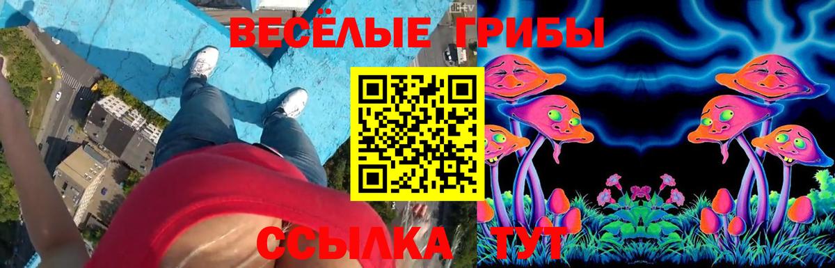 Галлюциногенные грибы Magic Shrooms Элиста