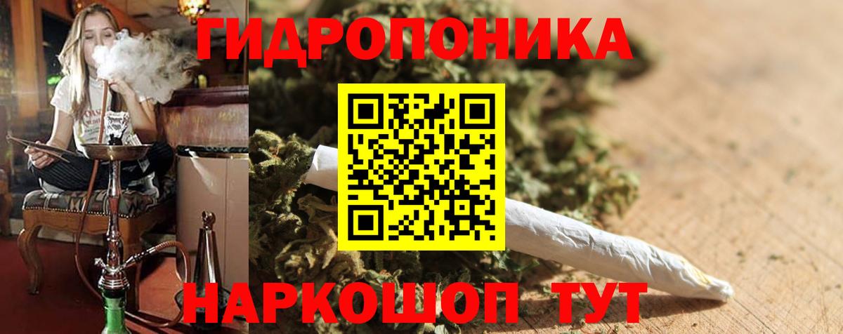 Бошки Шишки LSD WEED  Конопля SATIVA & INDICA  Элиста  Шишки марихуана план  Шишки марихуана Ganja  Вход с VPN 